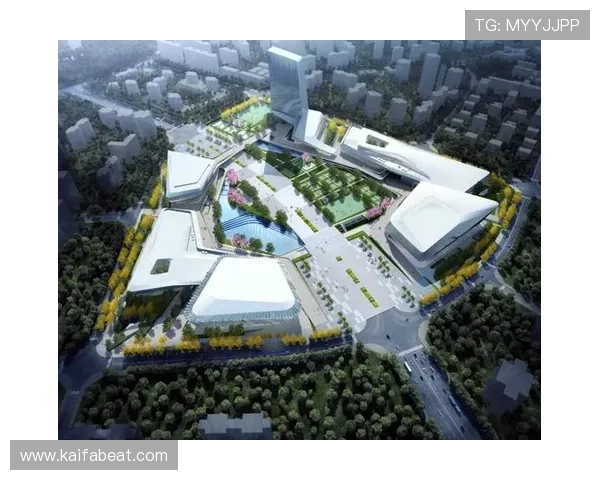 ag旗舰厅和国际厅：为商务与休闲客户提供的专业化服务方案分析