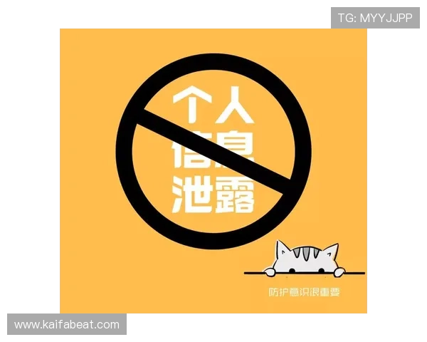 凯发体育的网址安全验证流程详解，确保用户在访问过程中信息安全与账号安全保障